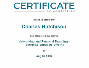 Networking%20and%20Personal%20Branding_e