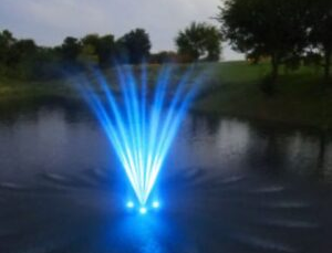 Pond Fountains Floating: Guide to Better Water Quality and Stunning Displays