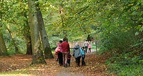 Call for better access to physical activity for care-experienced children