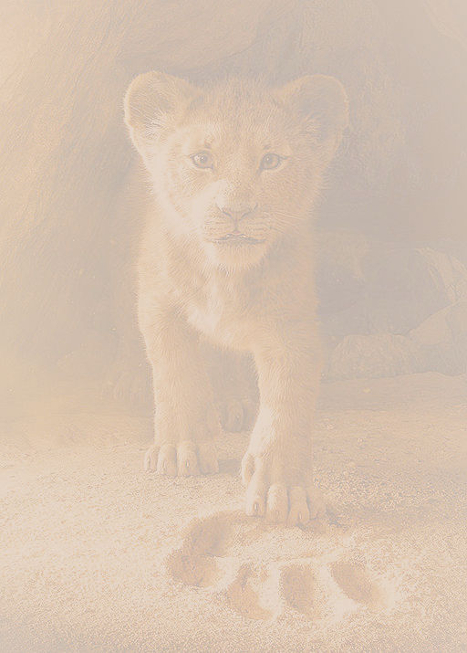 15562155045cc1f6d036211_1556215504_3x2_md_edited_edited.jpg