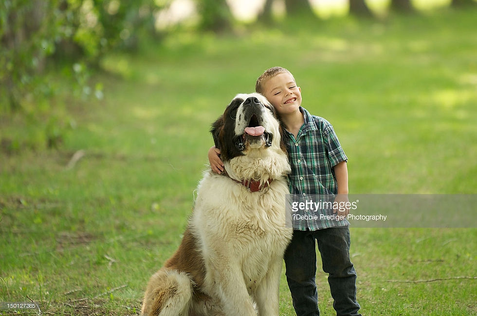 Thumbnail: SAINT BERNARD PUPPIES