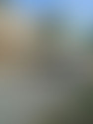 Création d'une piscine