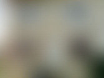 Rénovation complète