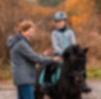 reitschule_equifitness_edited.jpg