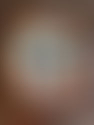 【12/24、12/25 Christmas Pizza】