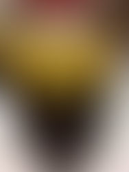 12月だけど、かき氷。