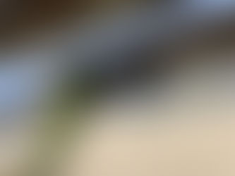 『チーナカ豆』建築部、ちょっと宣伝。