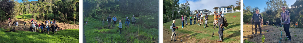Volunteer planting events across the local board area this winter.