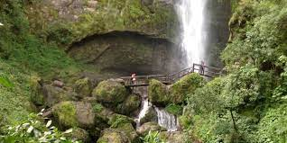 Caminar por el bosque nubloso de Girón y encontrarse con su imponente cascada llamada El Chorro.