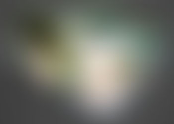 "BirdCage" - WCOA 2018