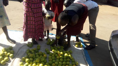 Better than importing food from Uganda. ONMI staff, impacting a local economy in RSS