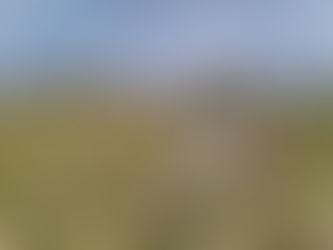 Family and Mission highlights 2018: Major focus on food security in this report.