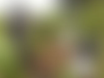 Food security is key to stopping war in South Sudan, encourages people to return home and discourage