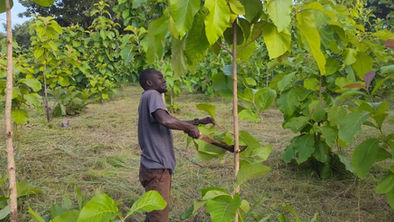 The effort of one beneficiary making a difference- Thank you