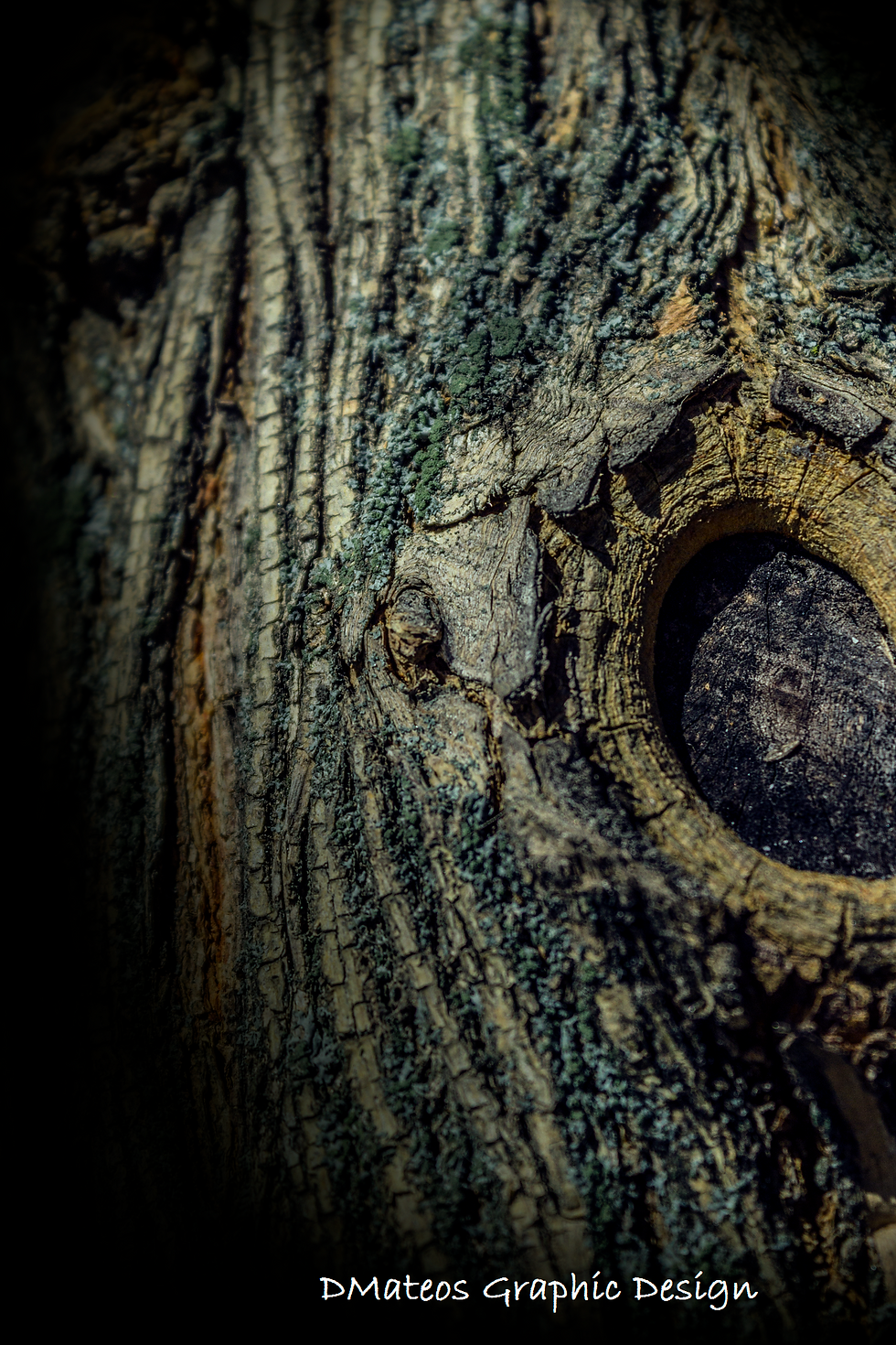Talavera halloween dark tree