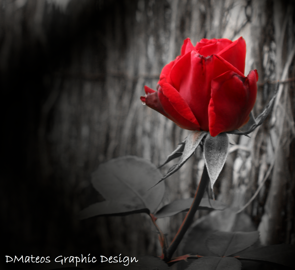 Talavera halloween red rose