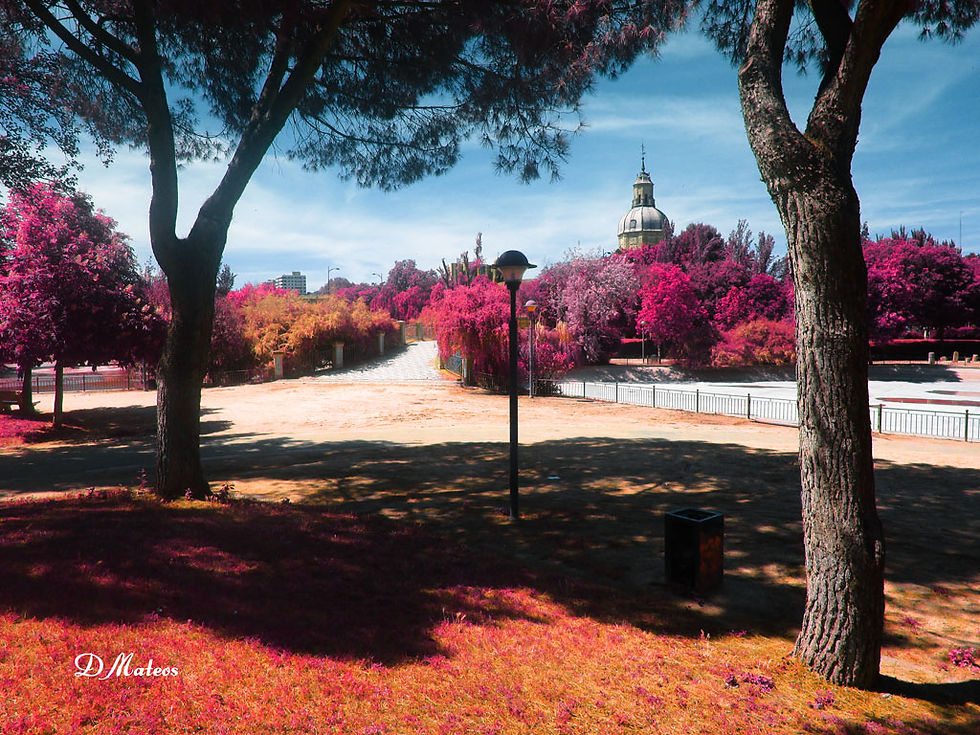 "Alameda" Infrared photo by DMateos