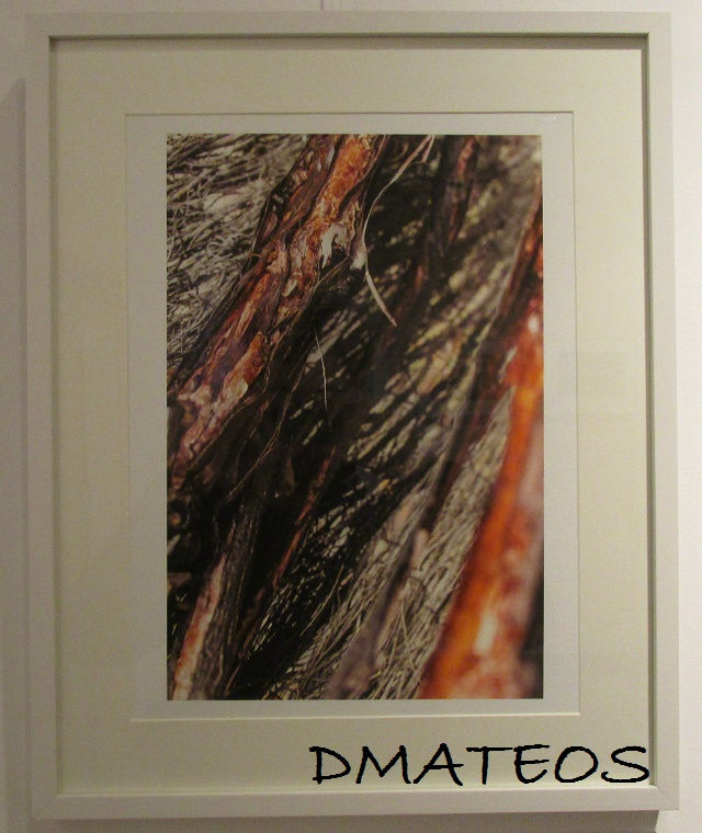 View of the Picture. Closer