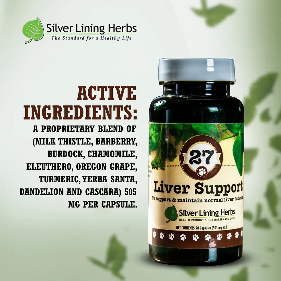 Thumbnail: Liver Support for Dogs