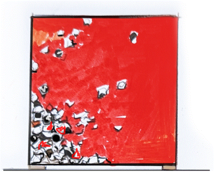Pannaeu A.gif