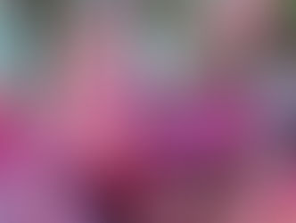 Plant of The Day 3/05/22