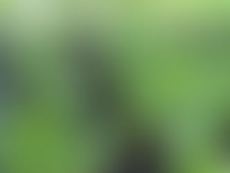 Plant of The Day 20/05/22