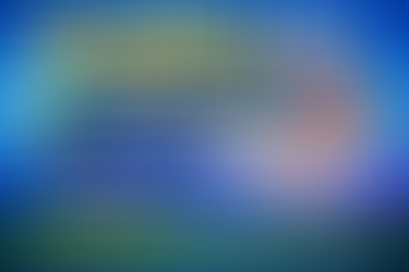 International Assessment Test TerraNova Standardized Achievement Test Mock Test | Practice Paper, Full Solutions & Score Improvement Guide