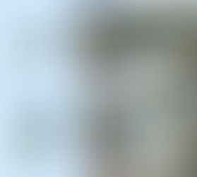 A casa que cresce com o dono