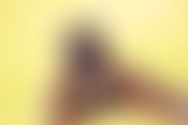 Online courses bring staff up to speed