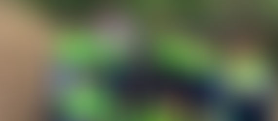 Holcim celebra el Día Mundial de la Tierra comprometido con la eliminación del plástico de un solo uso y la preservación de los ecosistemas