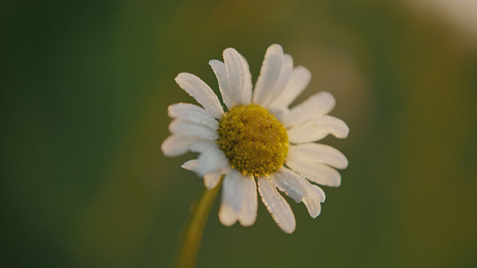 Untitled_1.151.1.jpg