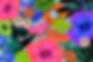 design-1720747928774.png