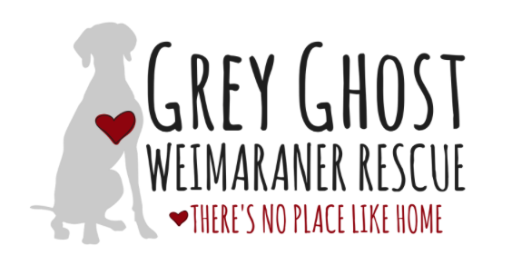 Grey Ghost.png