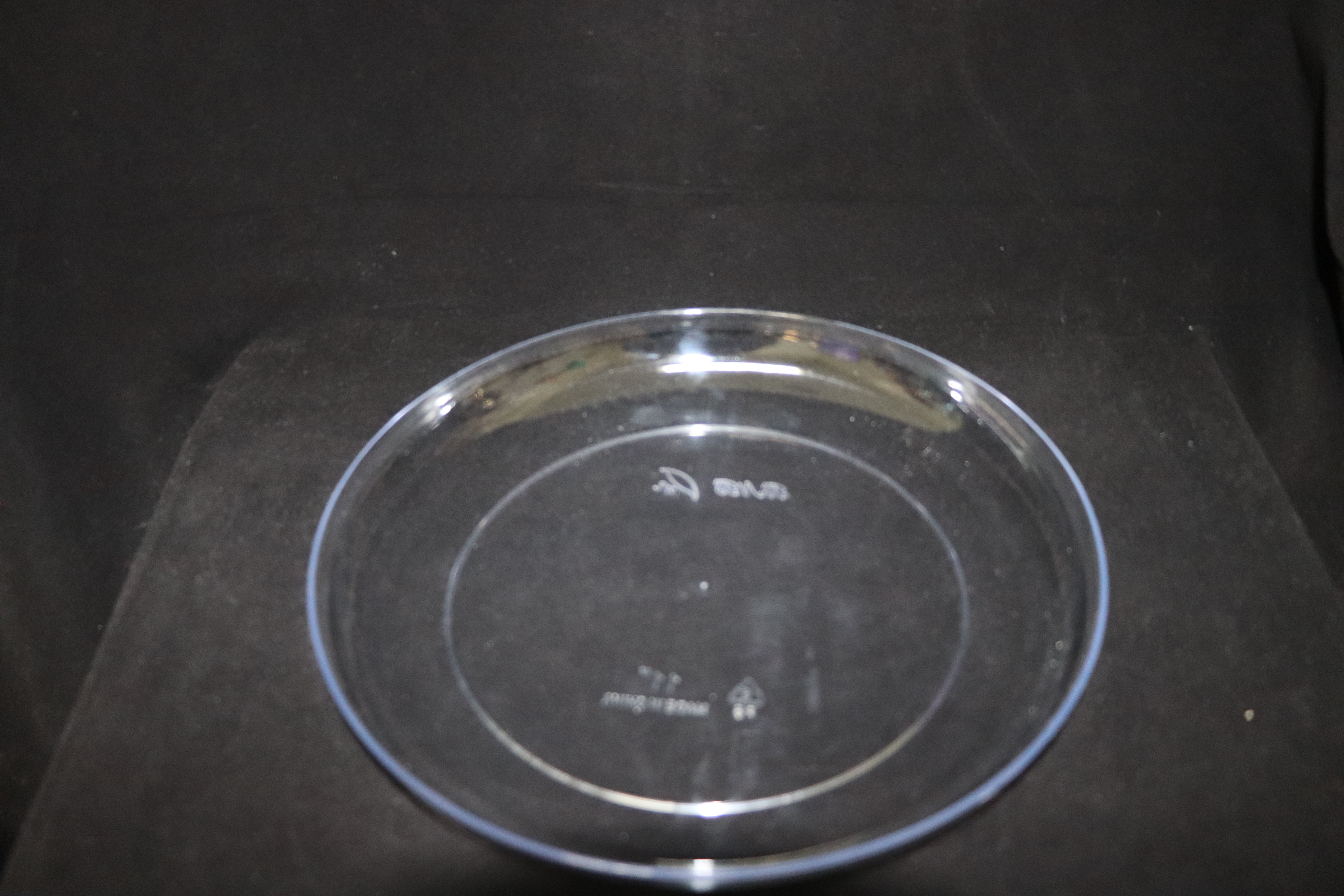 11" Clear Floral Dish