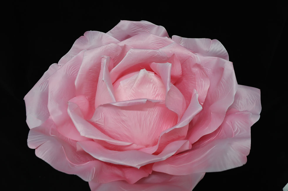 Thumbnail: Giant Rose - Pink