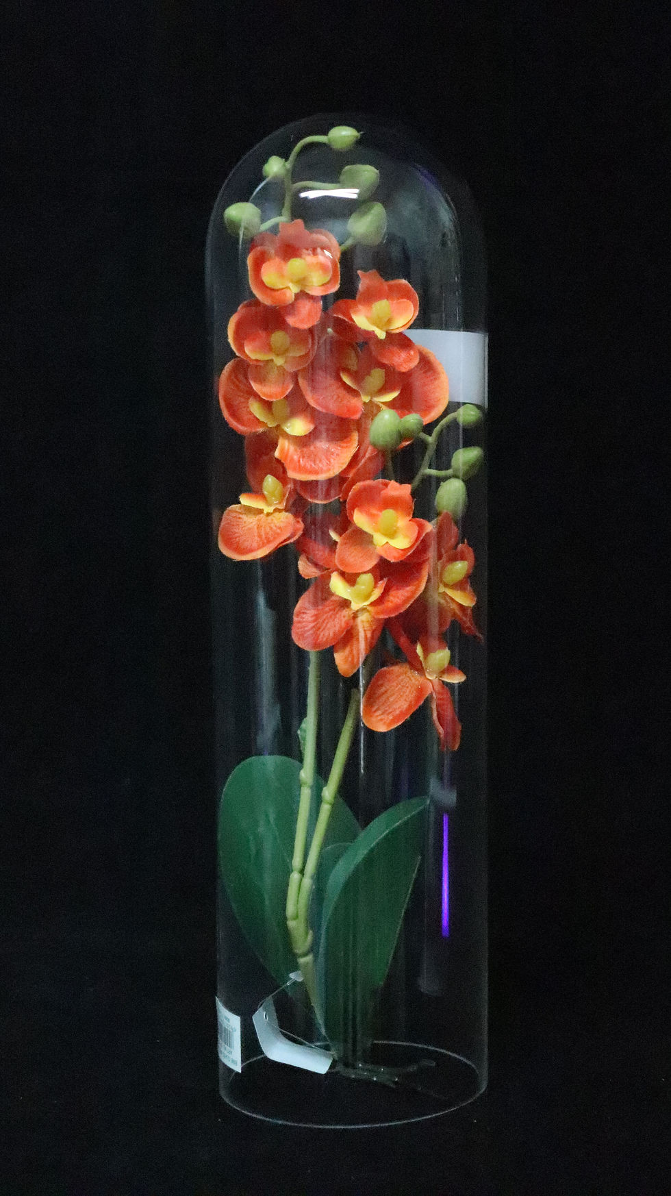 Thumbnail: 4"Opening Glass Dome vase