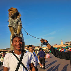 A Full-Day Trip from Agadir to Marrakech