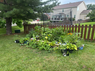 Creative Mom Life: From Classrooms to Crafting to Cucumbers