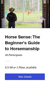 beginners guide.jpeg