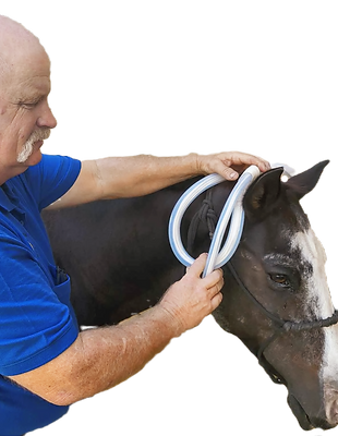 oops head_edited_edited.png
