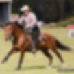 Your coach at Well Balanced Horsemanship is Bret Lambdin.
Bret grew up with horses and has worked around them the majority of his life, spending over 20 years professionally working with horses and ponies of numerous breeds.
In addition to that, he has been involved with teaching, coaching and training for over 30 years.
As Vice president and training coordinator for Dur-A-Shield International, being a guest speaker at many PWNA training conferences, EPA meetings and sitting on the board of directors of PWNA and Enviro Wash U.S.A. as well as having over 1,000 hours of flight instruction given, and spending 8 years as a Field Training Officer at the Altamonte Springs Police Department before his retirement in 2017, Bret developed a unique style of instructing and coaching which he has incorporated into his horse training facility located in Mount Dora Florida.
He is also committed to helping Americas Wild Mustangs become confident partners for the equestrian family in multiple disciplines, by participating in the Mustang Heritage Foundation TIP program as an approved trainer and has served on the Board of Directors for the Southern Obstacle Challenge Association as well as a certified judge for EXCA.
Bret has spent the last several years studying the neuroscience behind how horses think and respond to stimulus and applying the science to real life scenarios for behavior corrections and training. He is now passing on this information in his clinics, lessons and online learning programs.
He has spent over 10 years at this location coaching new and experienced horsemen and women, helping them gain confidence and expand their skills and is highly sought after due to his passionate and encompassing coaching style, abilities with problem horses and understanding of how to connect the neuroscience behind how horses think to training applications.
Bret competed in the Florida Extreme Mustang Makeover in 2017, placing 5th and is looking forward to competing again in the future. He was also selected to compete in the Extreme Mustang Makeover (which is by invitation only) in 2017 but had to withdraw due to damage to the stable from Hurricane Irma. Bret also loves competing in the Extreme Cowboy Racing events and has competed at the World Championships.