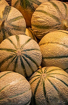 Cantelope.jpg