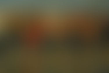 14.02.2026 "One Billion Rising" Flashmob in Murnau 