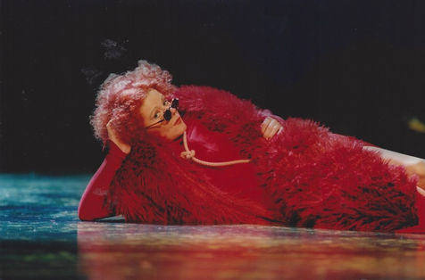 TirolerLandestheater_SchlauesFüchslein2_1995_(c)RupertLarl.jpeg