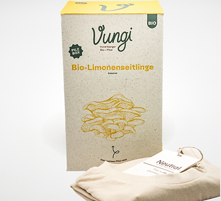 vungi_produktbilder_pilzboxgeschenkset.png