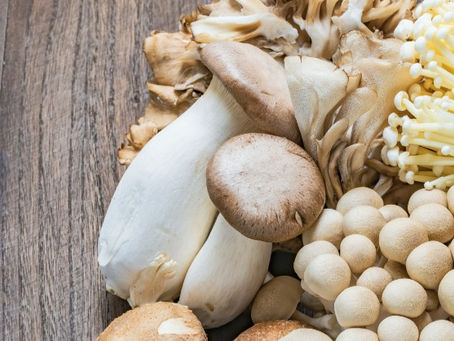 Pilze als Fleischersatz: Gesund & Nachhaltig