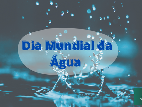 Confira eventos para celebrar o Dia Mundial da Água