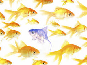 Against the current.jpeg