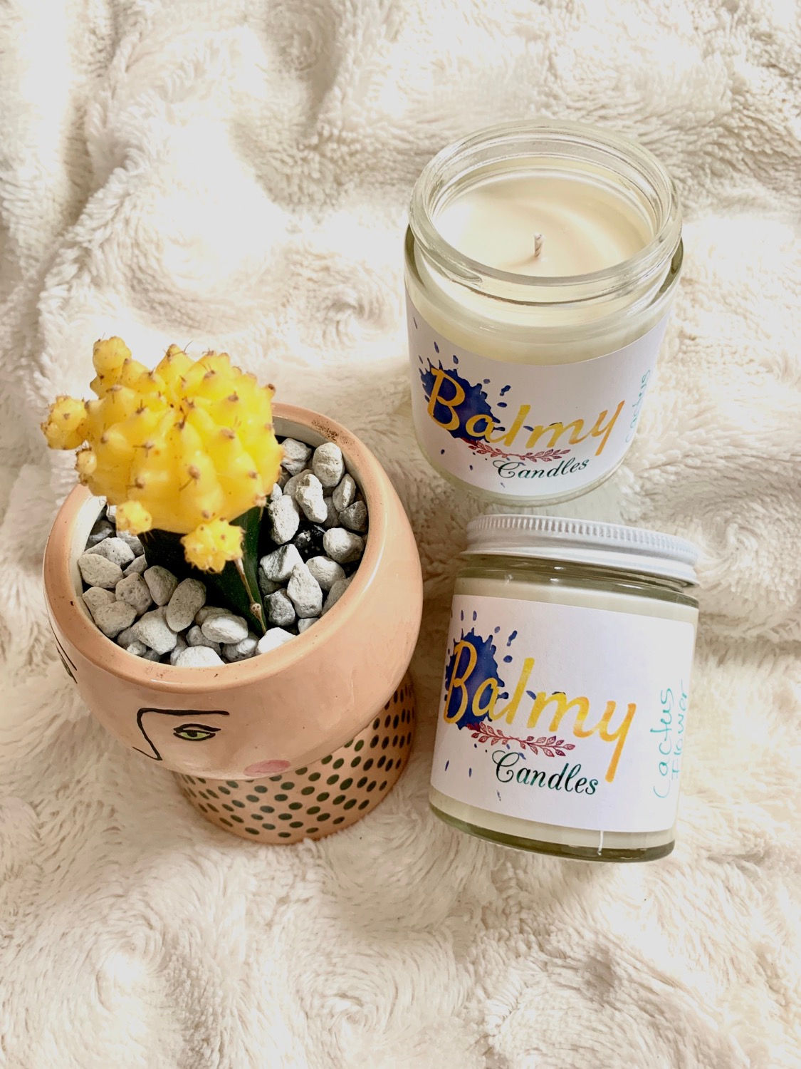 Cactus Flower - 6 oz