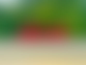 21 mars 2026 – Le projet Baragouiner à Granby